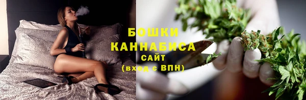 прущие грибы Нефтегорск