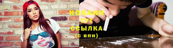 прущие грибы Нефтегорск