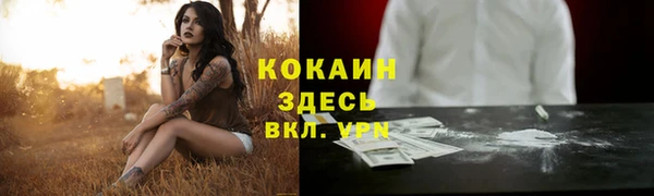 трава Бикин