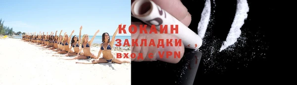 прущие грибы Нефтегорск