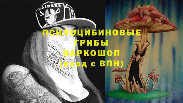трава Бикин