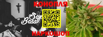 apvp Бийск