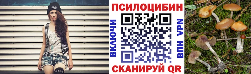 мега зеркало  цены   Железноводск  Галлюциногенные грибы GOLDEN TEACHER 