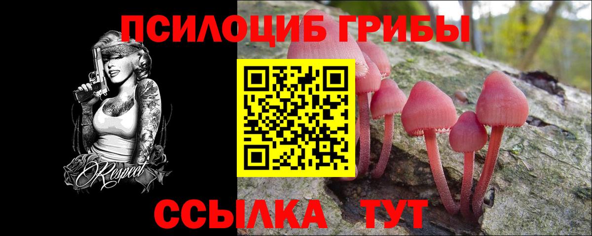 Псилоцибиновые грибы MAGIC MUSHROOMS  Псилоцибиновые грибы Psilocybine cubensis  Железноводск  Вход с VPN 