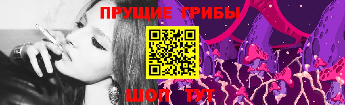 Галлюциногенные грибы Psilocybe  Псилоцибиновые грибы Cubensis  Железноводск 